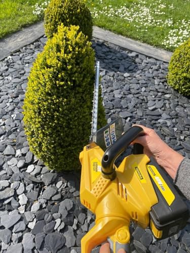 Nemura tagliasiepi a batteria 40V 56cm 1x2Ah brushless