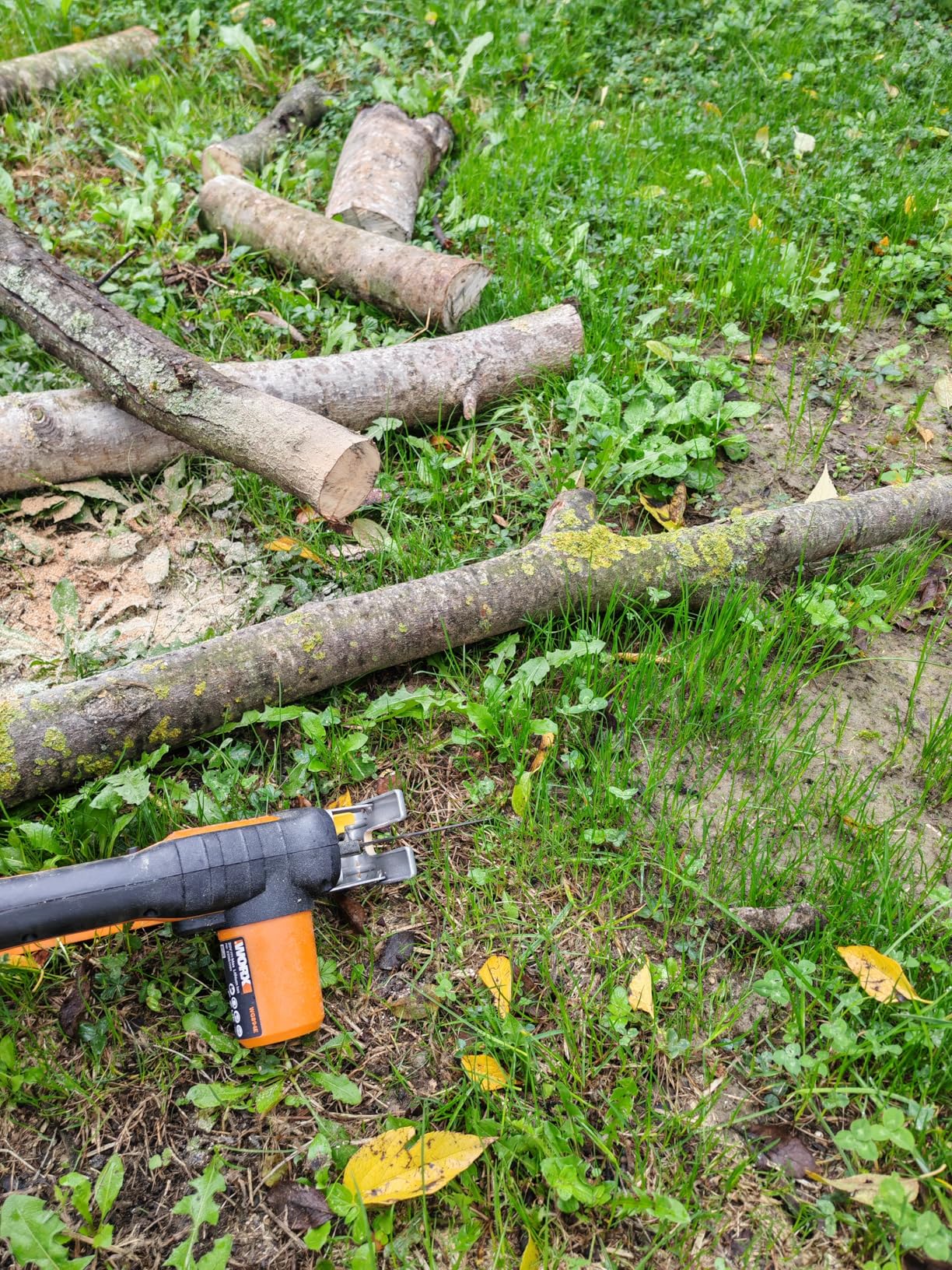 Worx WG894E.9 sega a gattuccio 20V solo corpo 60 mm
