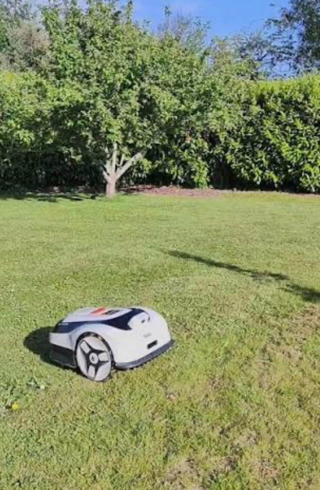 RoboUP Raccoon 2 SE robot tosaerba senza filo 150 min
