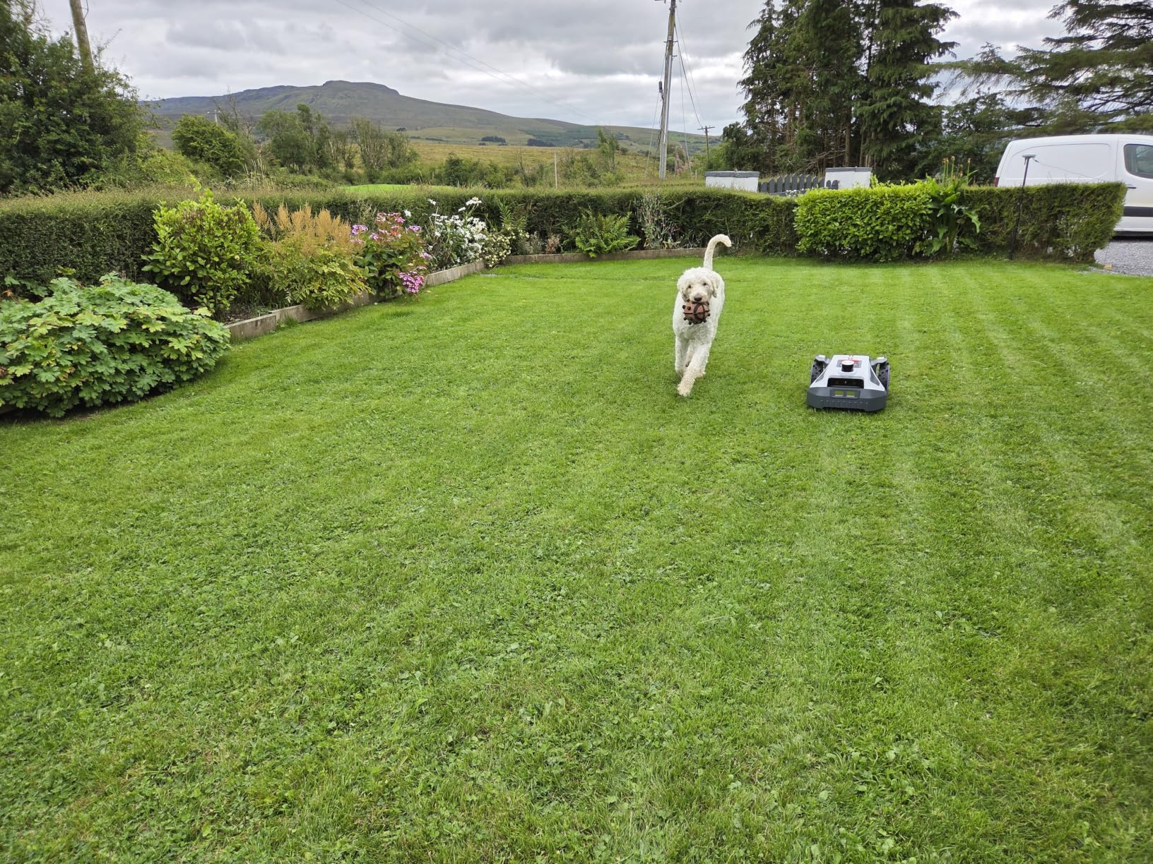 Anthbot M5 Robot Tagliaerba 500 mq RTK GPS silenzioso