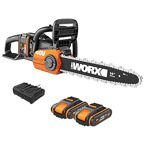 Worx WG384E Motosega a Batteria 40V 2 Batterie 35cm Brushless