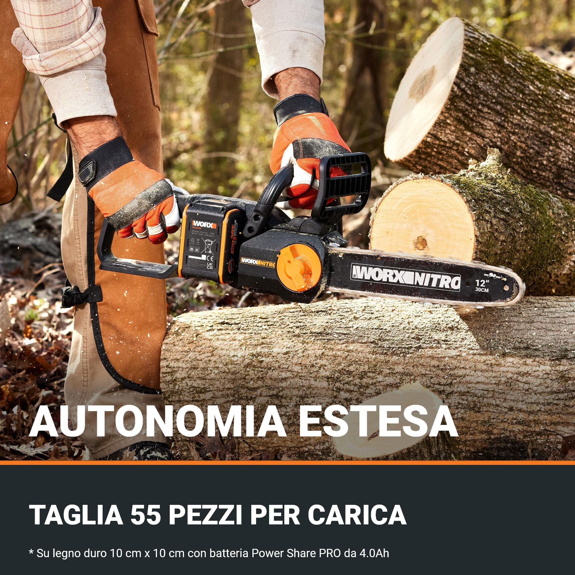 Worx WG350E motosega a batteria 20V con batteria barra 30 cm