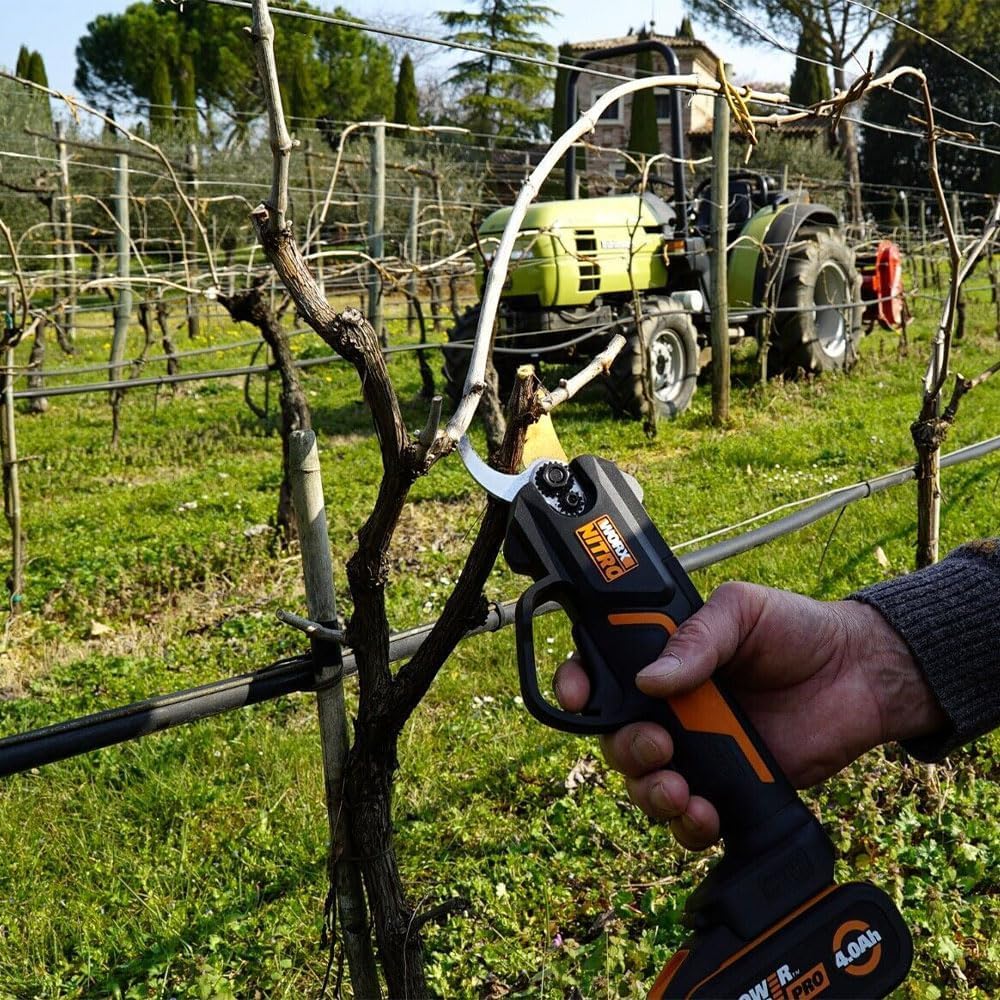 Worx WG330E forbice da potatura 20V con batteria 2Ah 25 mm