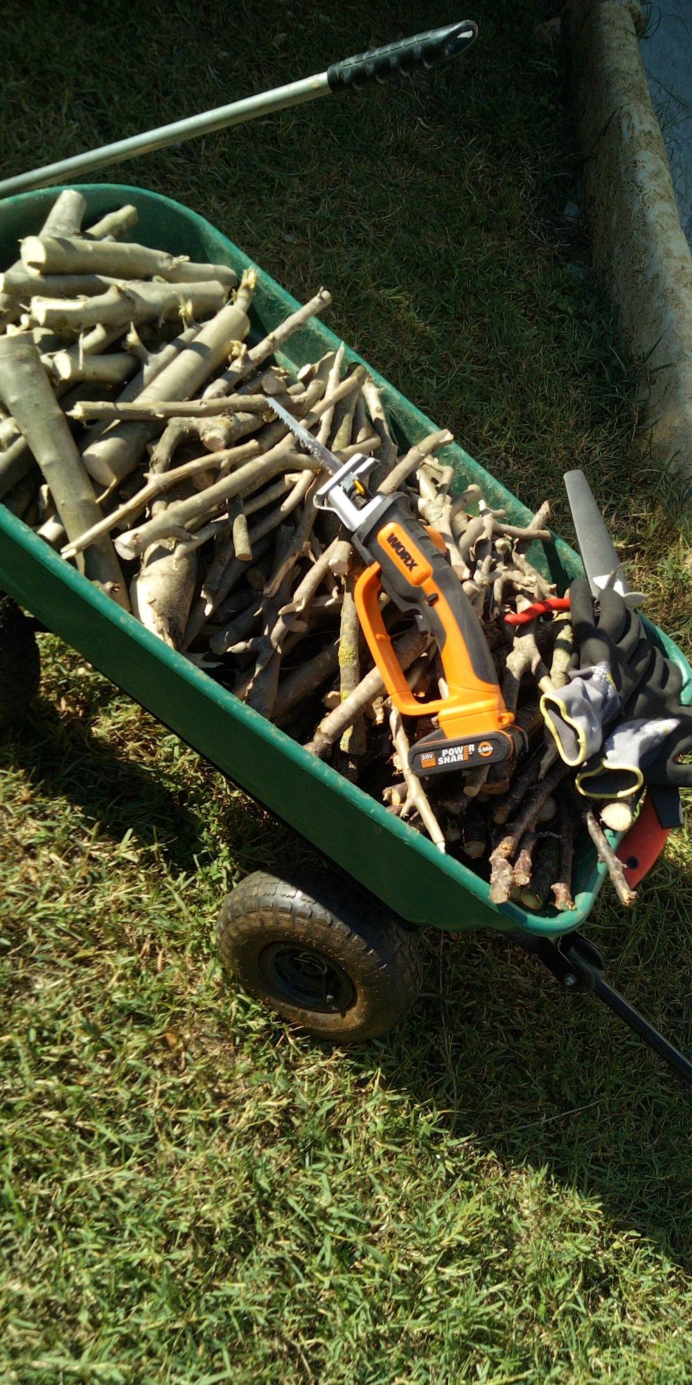 Worx WG894E.9 sega a gattuccio 20V solo corpo 60 mm